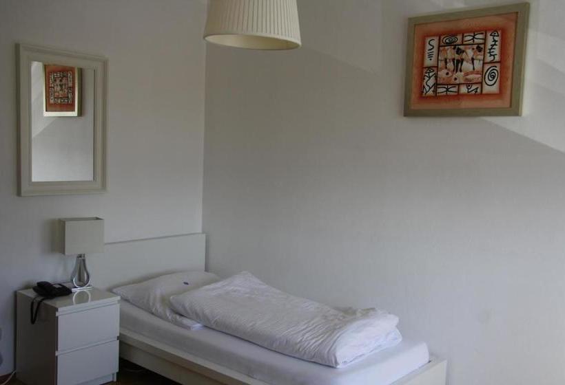 فندق Schwarzer Adler