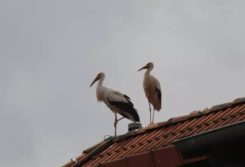 酒店 Wehrstedter Hof