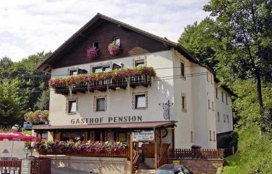 Отель Gasthof Zur Burgruine