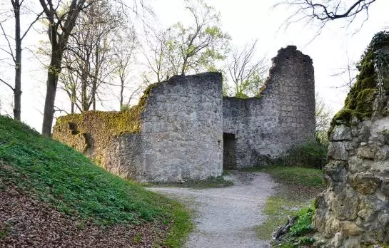 Отель Gasthof Zur Burgruine