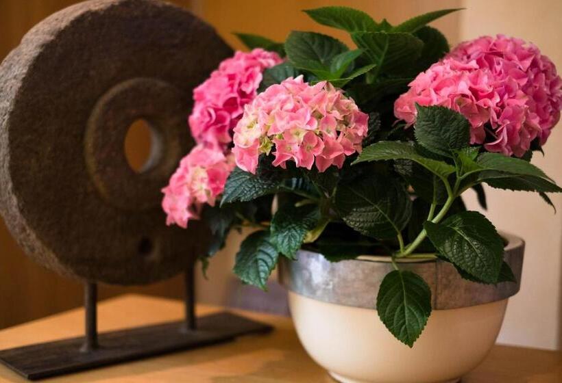 Отель Zur Mühle