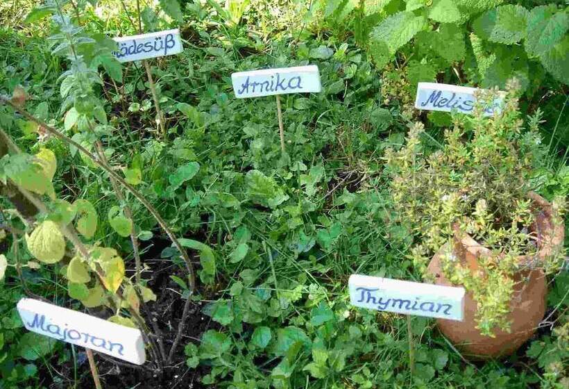 Kneipp Und Wellvitalhotel Edelweiss