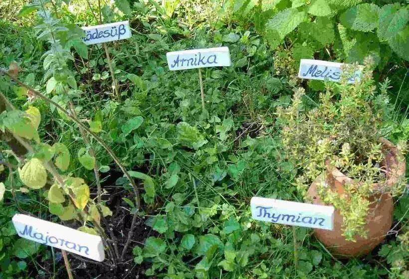 Kneipp Und Wellvitalhotel Edelweiss