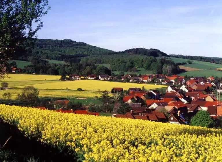 펜션 Gasthaus Johanning Ek