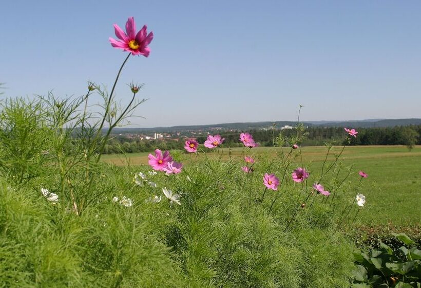 Пансион Waldgasthof Am Letten