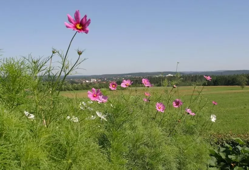 Pensão Waldgasthof Am Letten