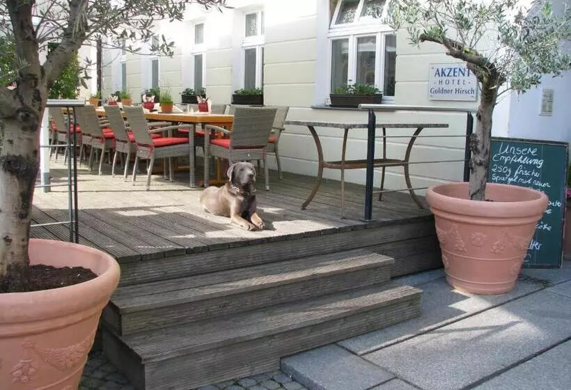 Akzent Hotel Goldner Hirsch