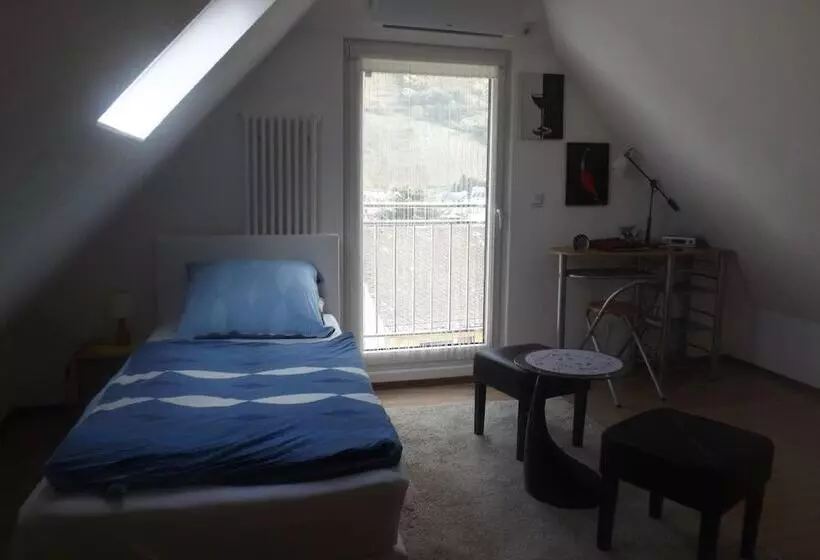 住宿加早餐 Pension Winzerhaus Haas Lenz Zell Mosel