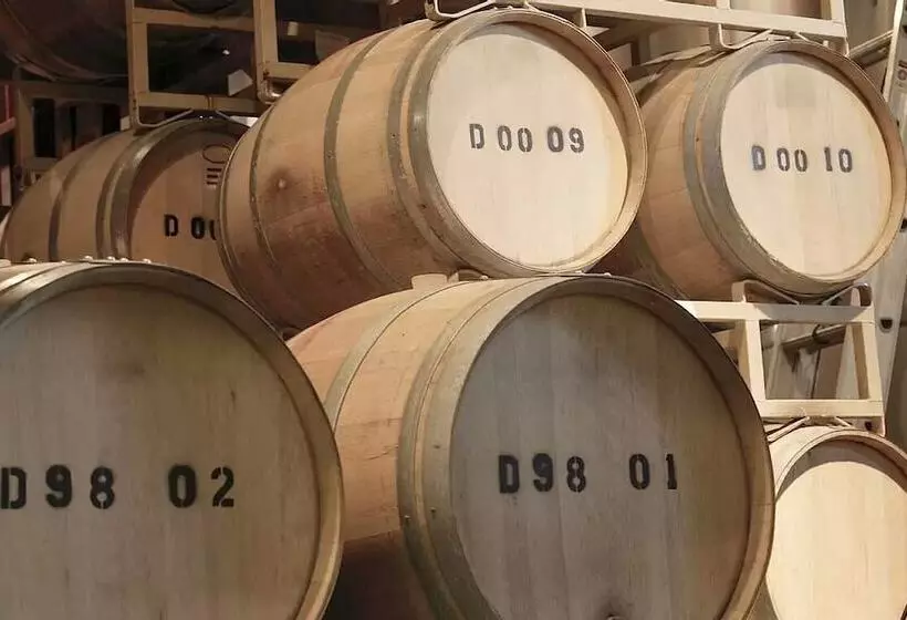 ベッドアンドブレックファースト Pension Winzerhaus Haas Lenz Zell Mosel