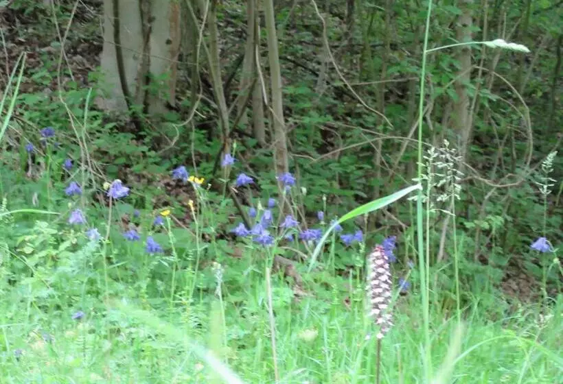 فندق Haus Orchideental Jena