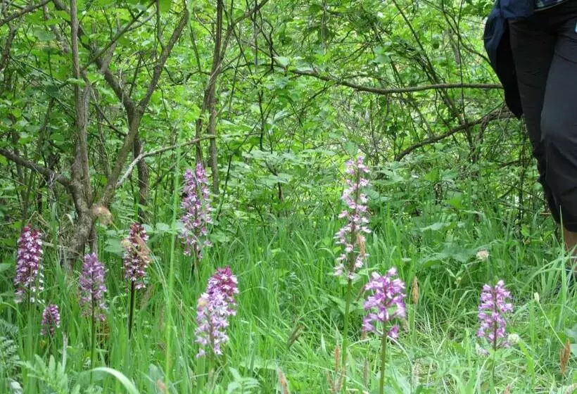 فندق Haus Orchideental Jena