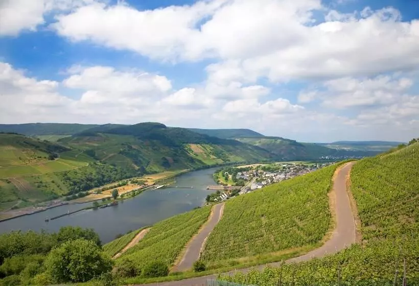 Moselhotel Weinhaus Simon ``sauna``restaurant``eladesäule