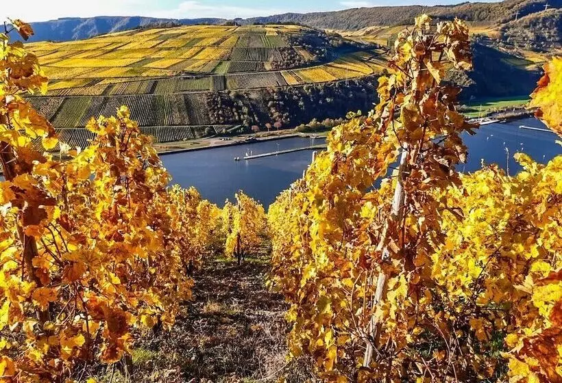 Moselhotel Weinhaus Simon ``sauna``restaurant``eladesäule