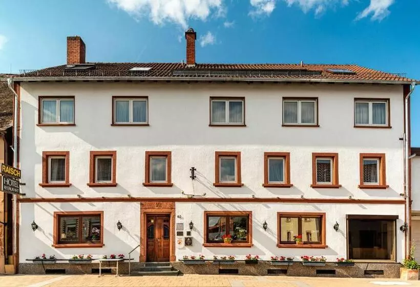 בית מלון כפרי & Restaurant Raisch