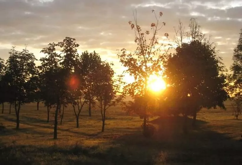 Отель Schöne Aussicht