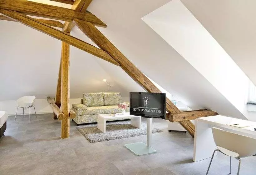 Отель Schwarzer Bär Jena