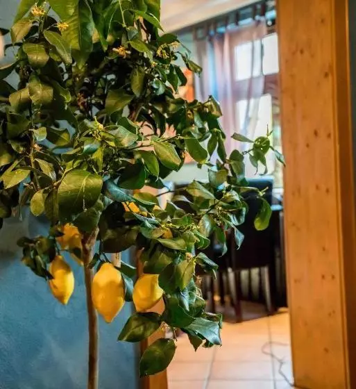 Отель Sachsenhof