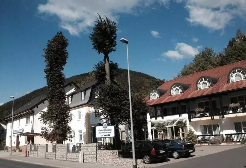 פנסיון Gasthof Hüttensteinach