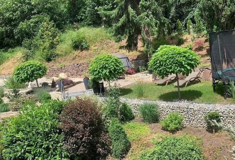 Пансион Gasthof Hüttensteinach