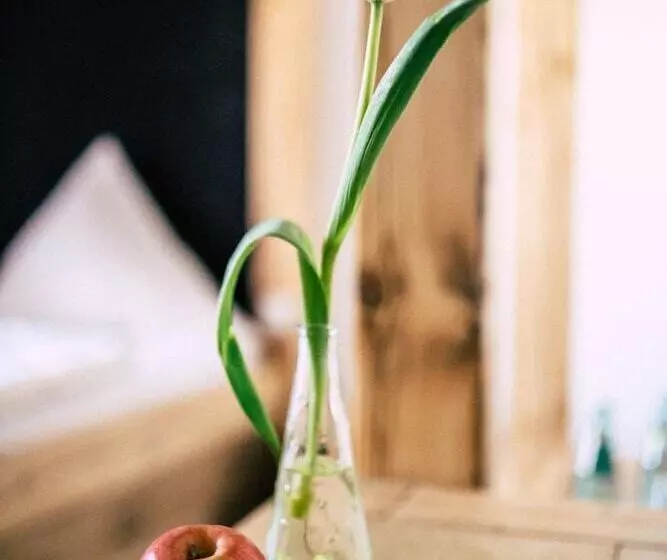 Schloss Hotel Wurzen