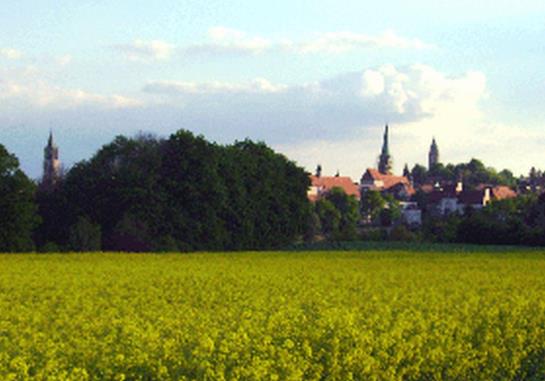 בית מלון כפרי Pension Landgasthof Zum Seehof