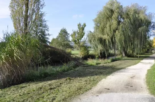 Отель Alte Mühle