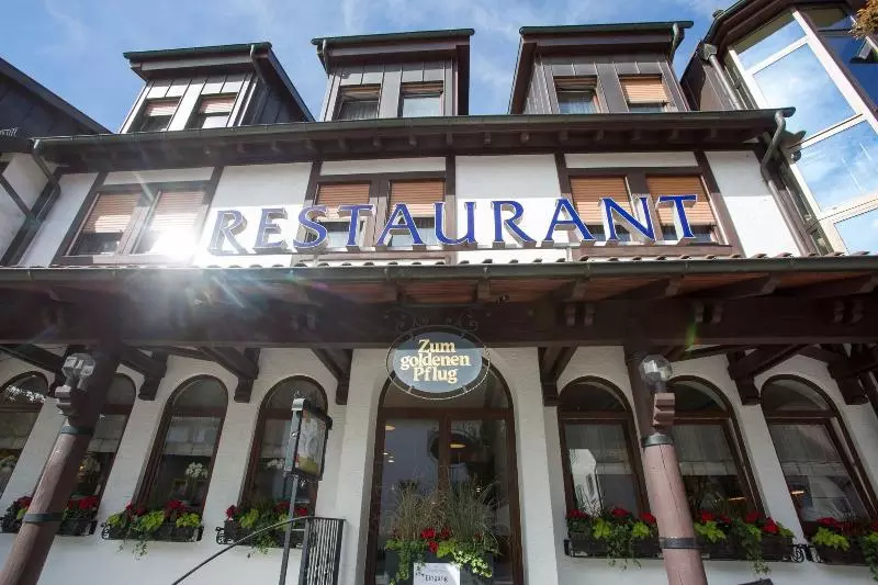 호텔 & Restaurant Goldener Pflug