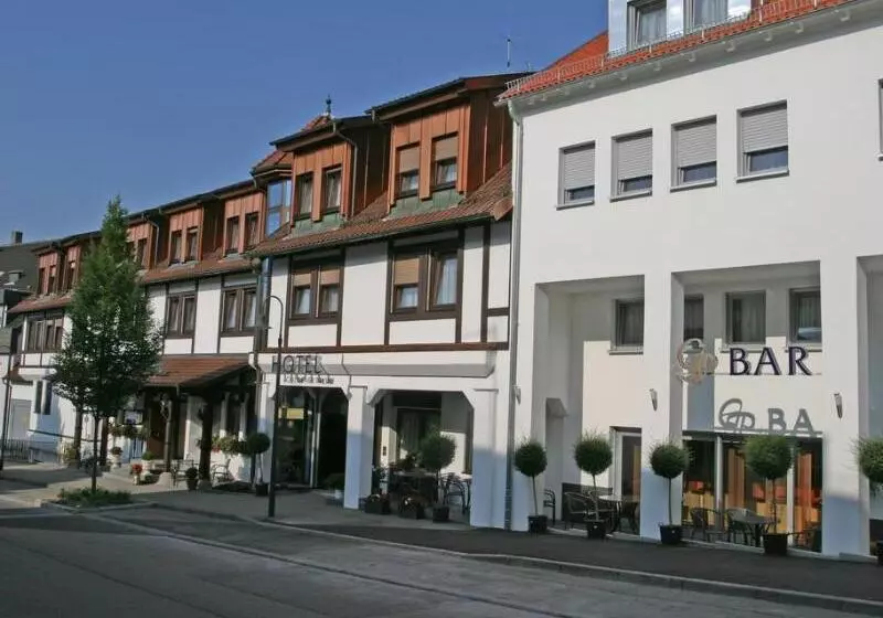 호텔 & Restaurant Goldener Pflug