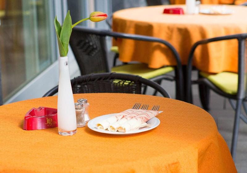 酒店 & Restaurant Goldener Pflug