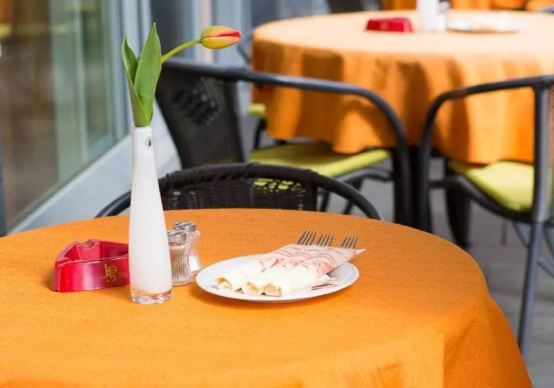 호텔 & Restaurant Goldener Pflug