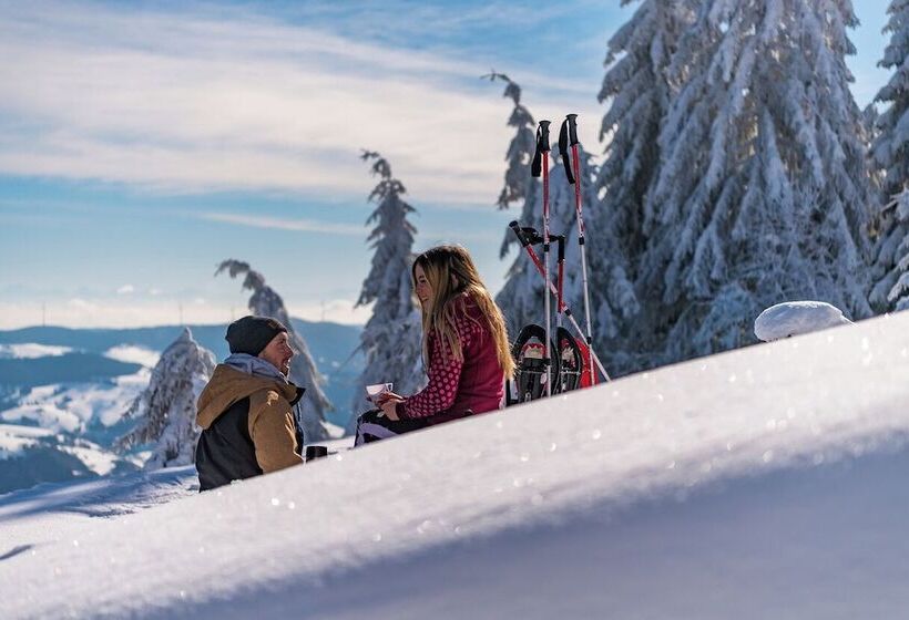 Berghotel Wiedener Eck