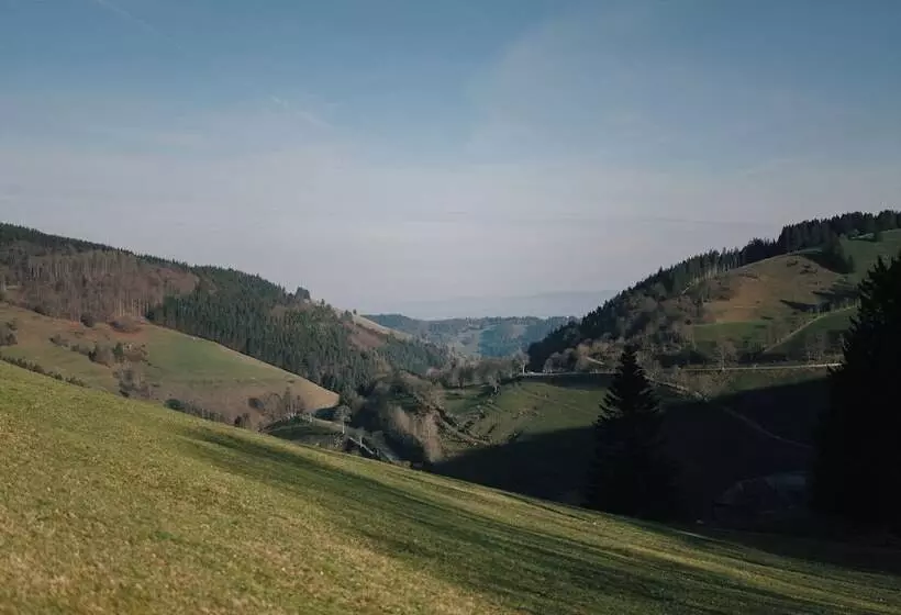 Berghotel Wiedener Eck