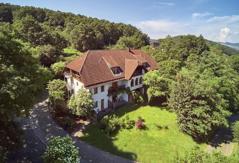 בית מלון כפרי Bollants Spa Im Park