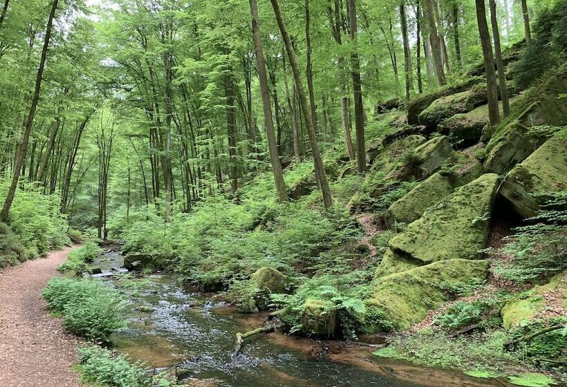 Отель & Restaurant Burgschänke