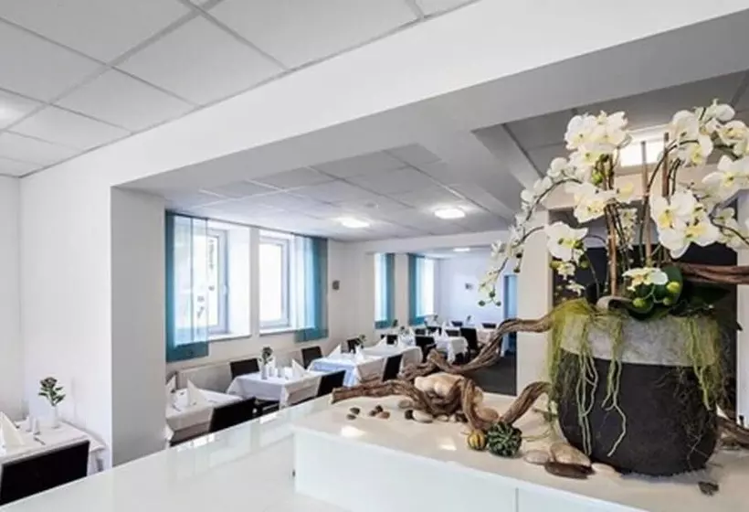 Отель City Oase Lb