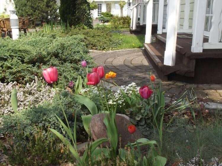 酒店 Dresden Domizil