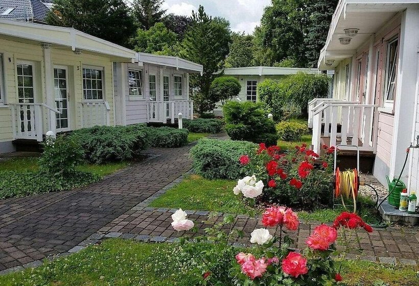 酒店 Dresden Domizil