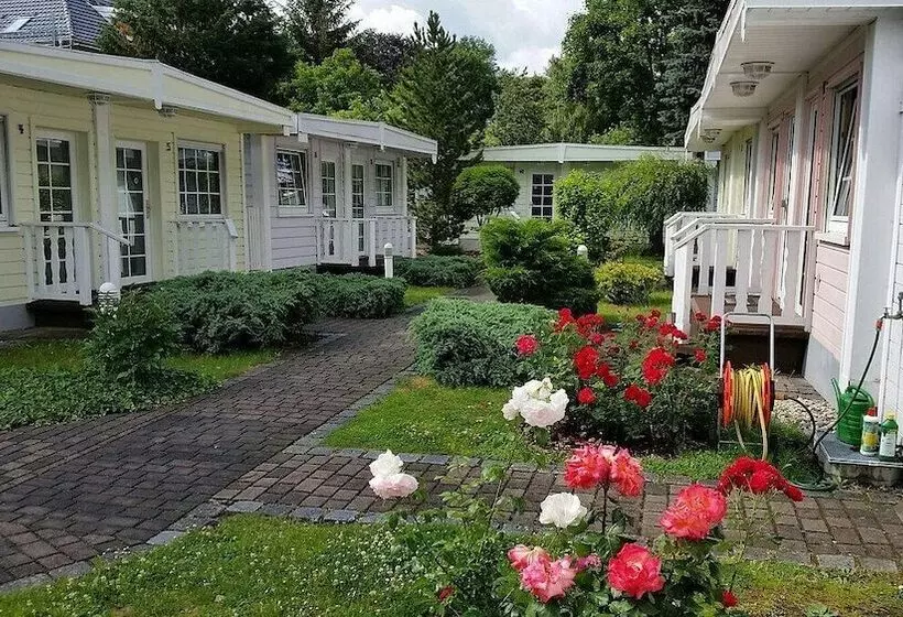 هتل Dresden Domizil