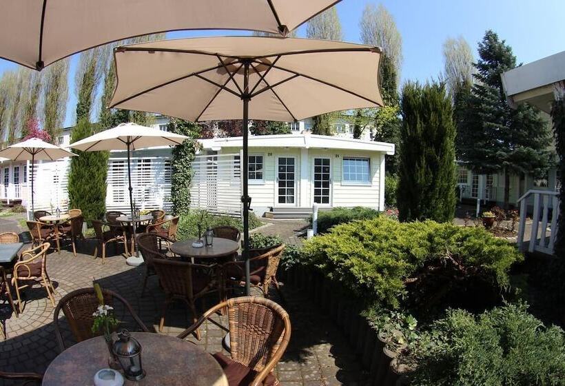 酒店 Dresden Domizil