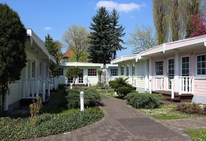 酒店 Dresden Domizil