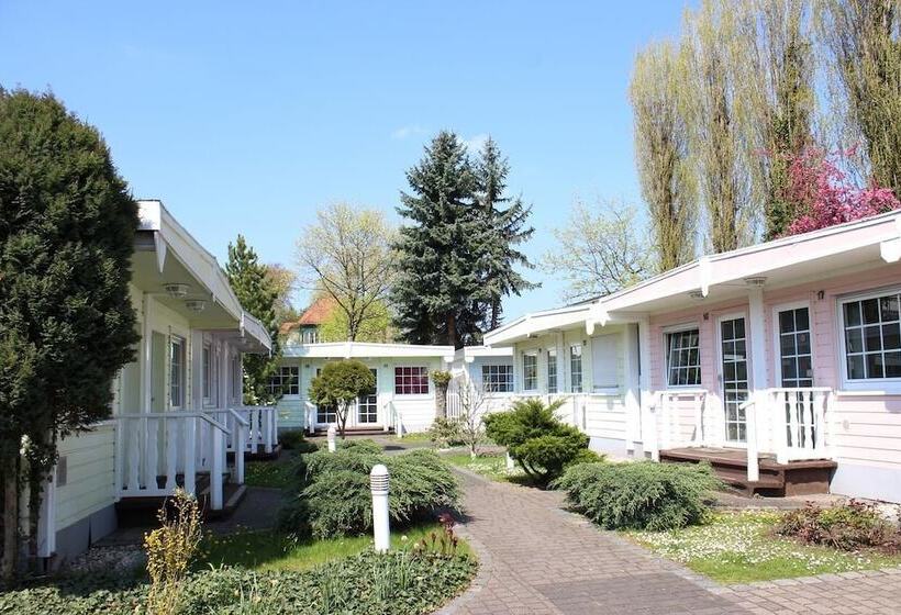 酒店 Dresden Domizil