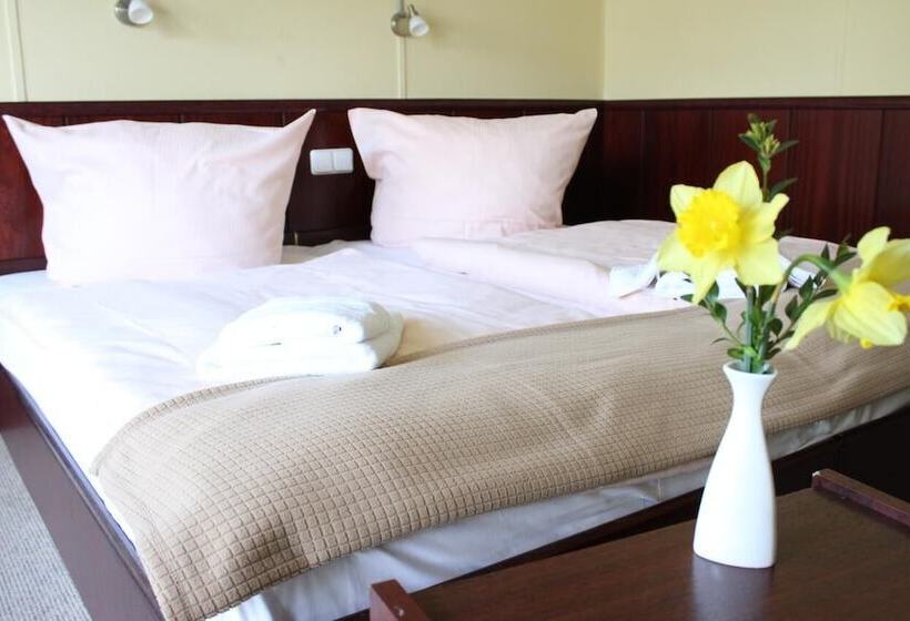 酒店 Dresden Domizil