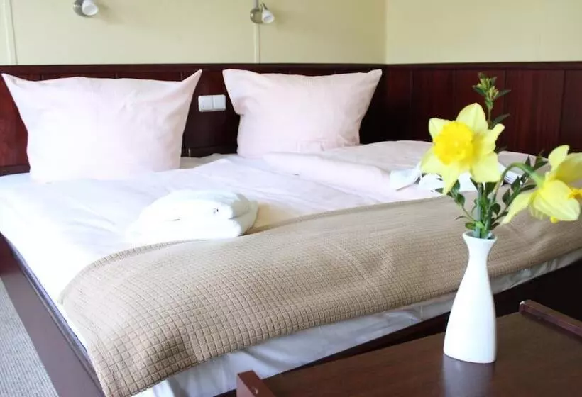 هتل Dresden Domizil