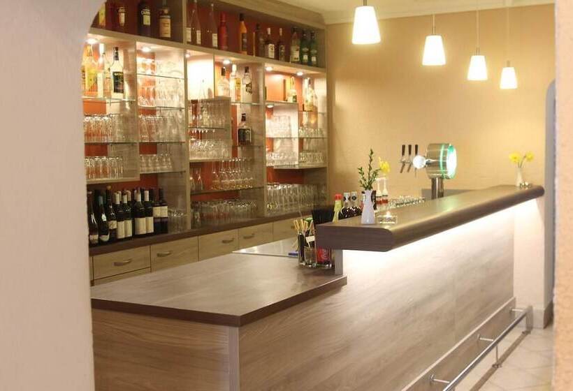 酒店 Dresden Domizil