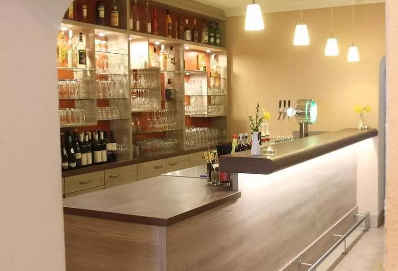 هتل Dresden Domizil