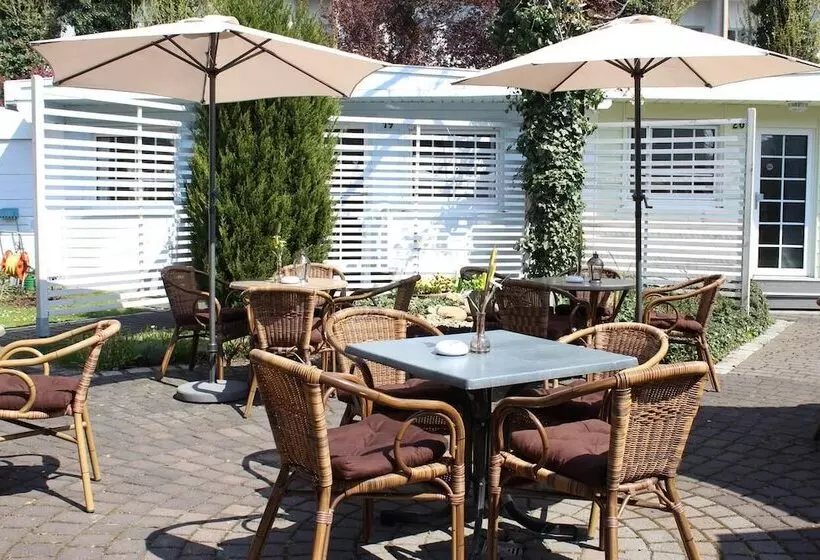 هتل Dresden Domizil