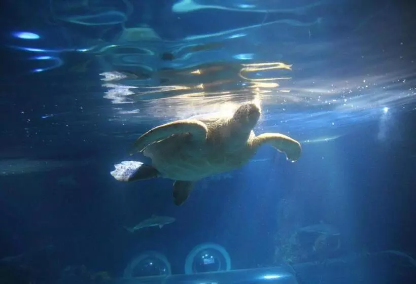 호텔 Krone Stühlingen Das Tor Zum Südschwarzwald