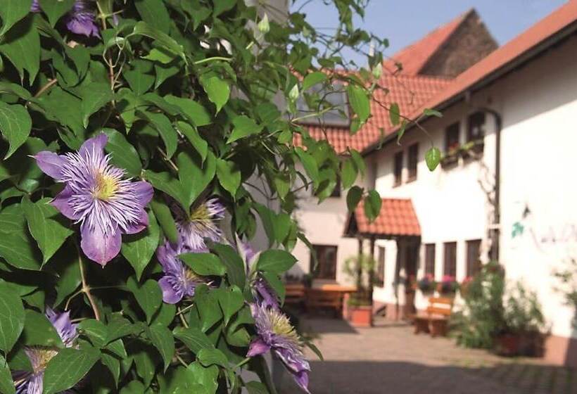 فندق Pension Gastehaus Kachelofa