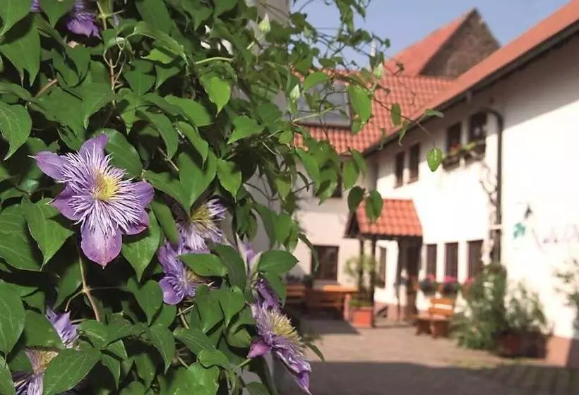 호텔 Pension Gastehaus Kachelofa