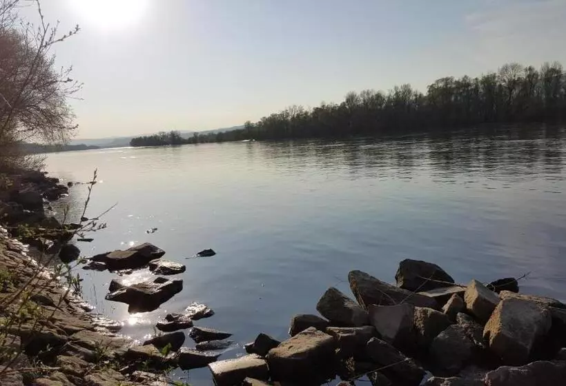 Отель Ruthmann Rheinblick Garni